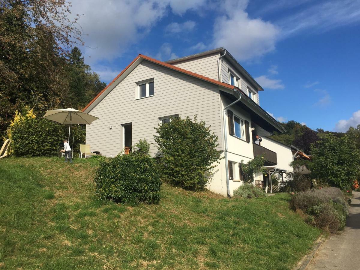 Alpenpanorama Am Hochrhein Villa Gailingen Buitenkant foto