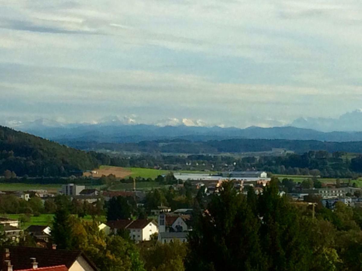 Alpenpanorama Am Hochrhein Villa Gailingen Buitenkant foto
